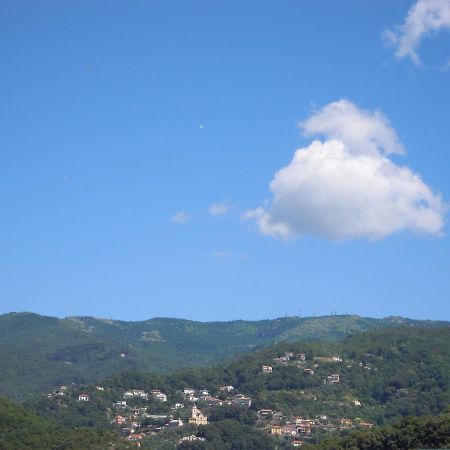 Genovese Villa Elena Appartamenti Varazze Exteriör bild